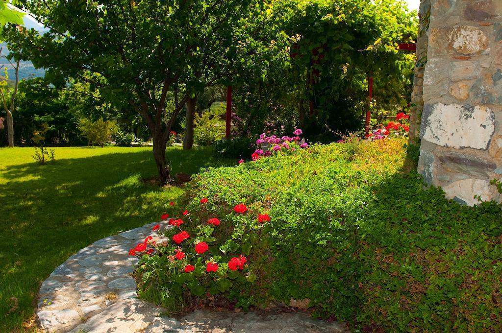 Elise Cottage Vathi  Bilik gambar