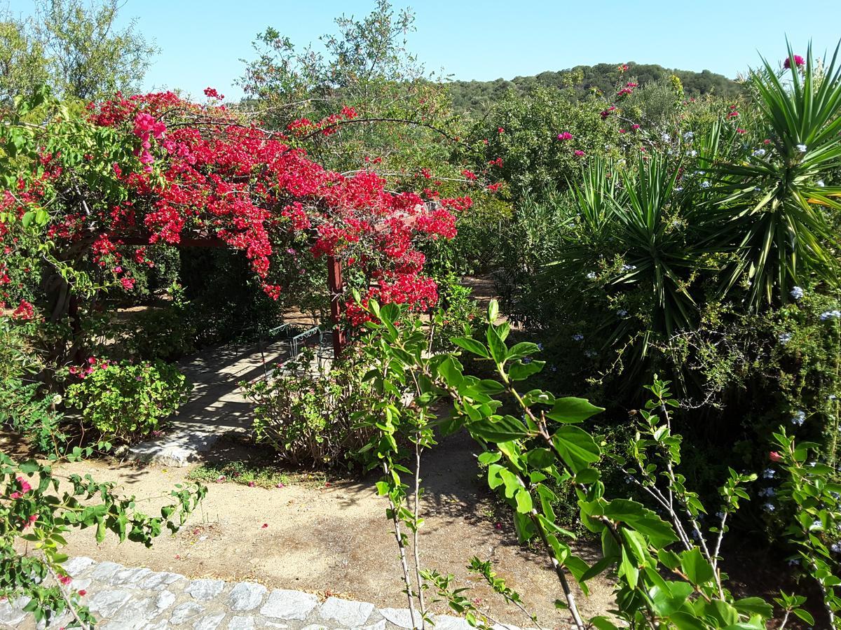 Elise Cottage Vathi  Luaran gambar